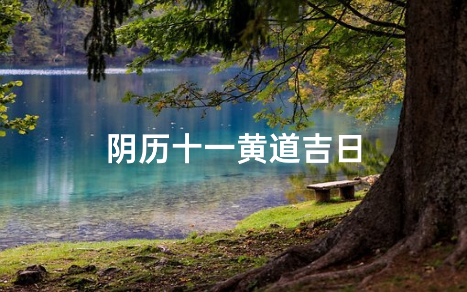 阴历十一黄道吉日