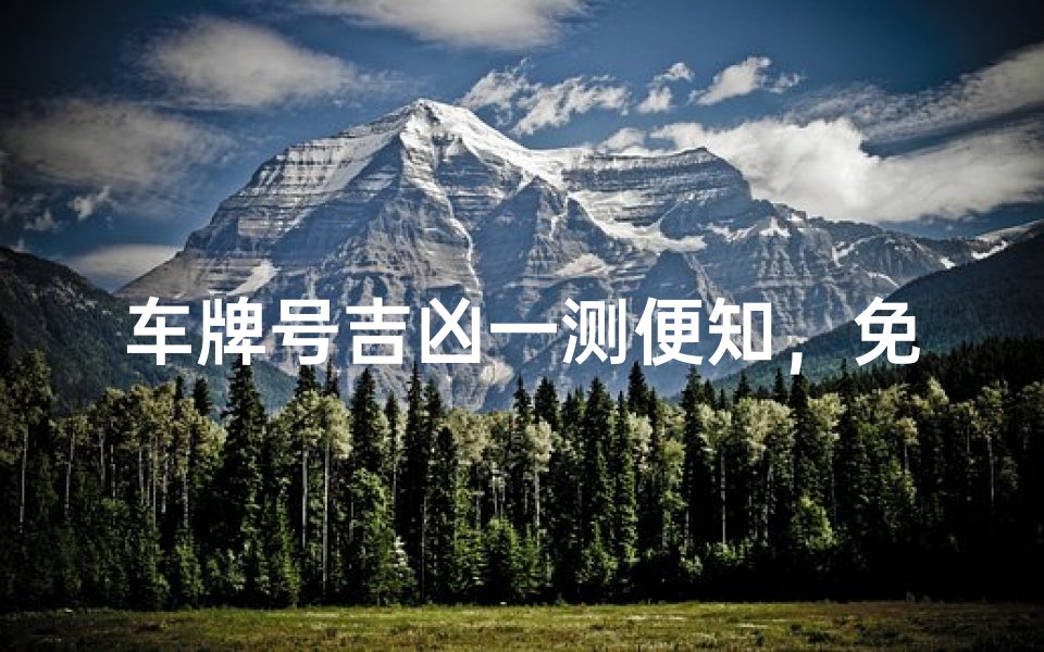 车牌号吉凶一测便知,免费鉴定好运来