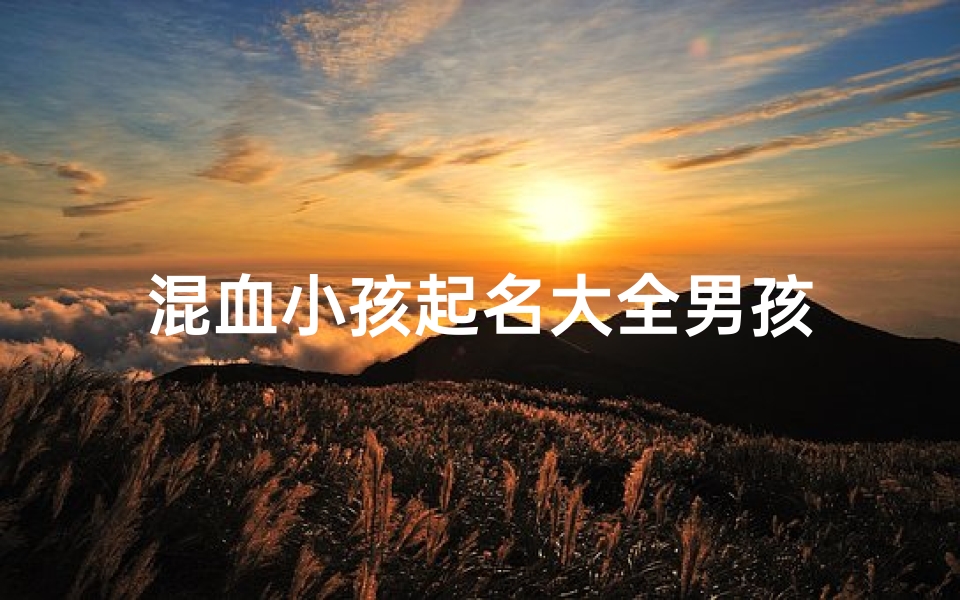 混血小孩起名大全男孩