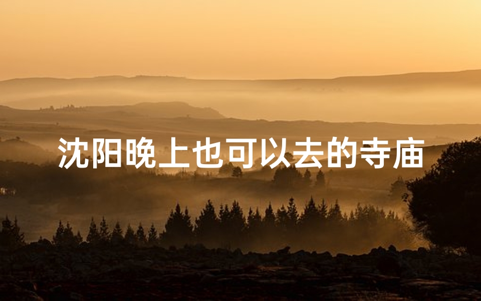 沈阳晚上也可以去的寺庙(沈阳晚上可以去的景点)