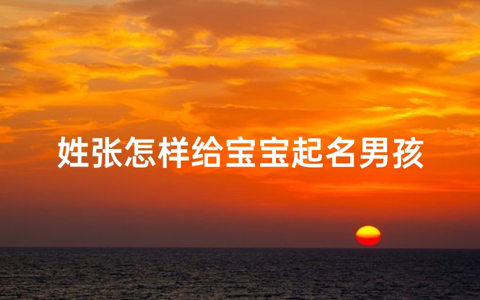 姓张怎样给宝宝起名男孩(给宝宝起名字姓张圣字辈男孩)