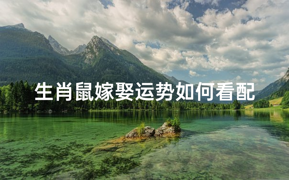 生肖鼠嫁娶运势如何看配偶