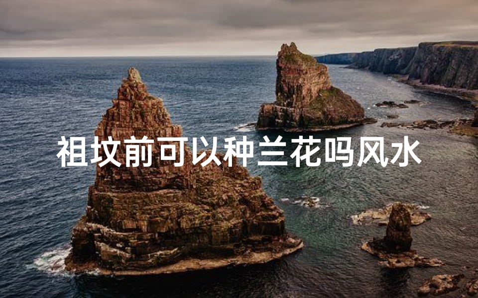 祖坟前可以种兰花吗风水讲究,祖坟前种兰花风水禁忌揭秘