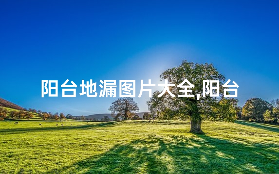阳台地漏图片大全,阳台地漏风水禁忌：揭秘家居风水秘密