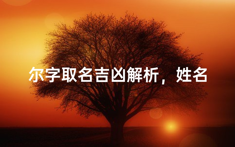 尔字取名吉凶解析,姓名学搭配技巧揭秘