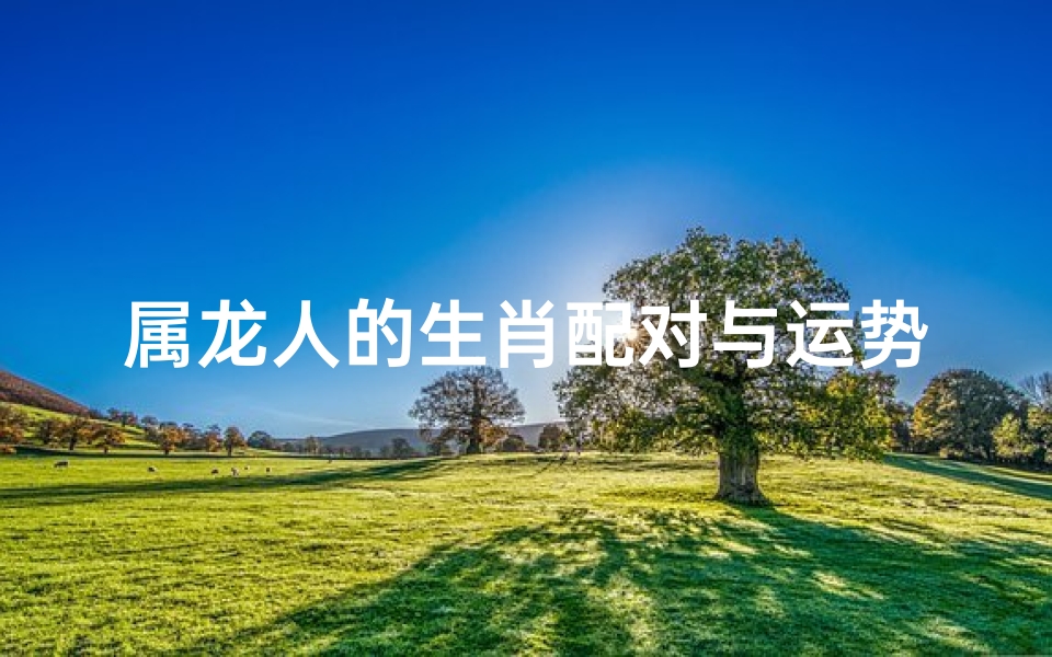 属龙人的生肖配对与运势解析,深度解读龙年运程