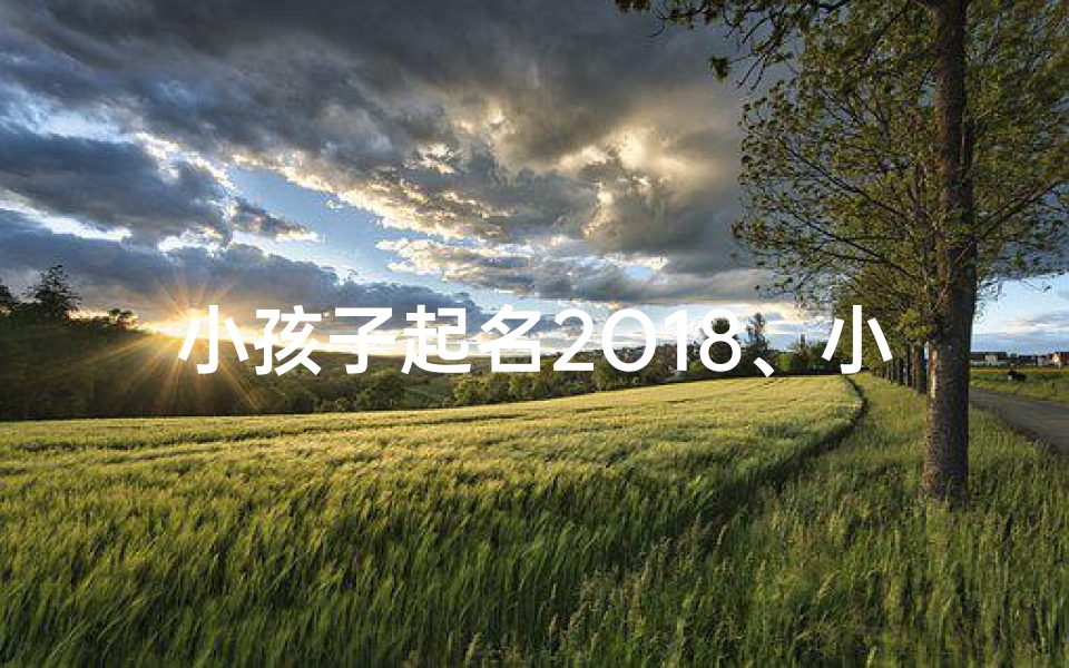 小孩子起名2O18、小孩子起名字不能重哪些人的字