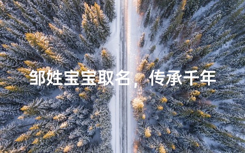邹姓宝宝取名,传承千年家风的智慧之选