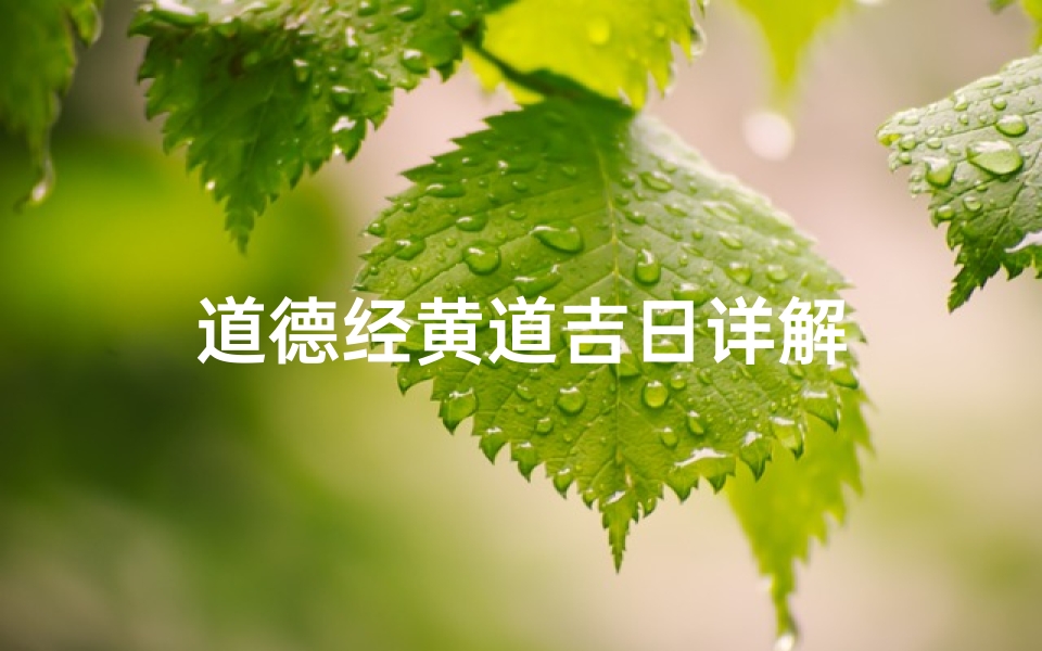 道德经黄道吉日详解