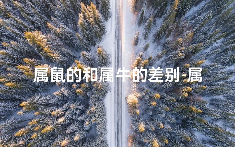 属鼠的和属牛的差别-属鼠的和属牛的属相合不合