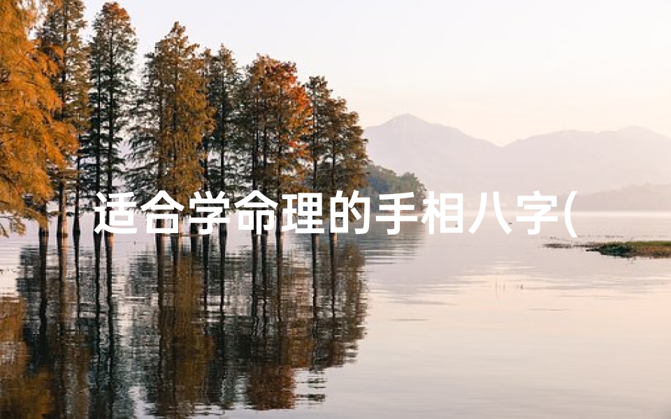 适合学命理的手相八字(自学算命看那些书比较好入门)