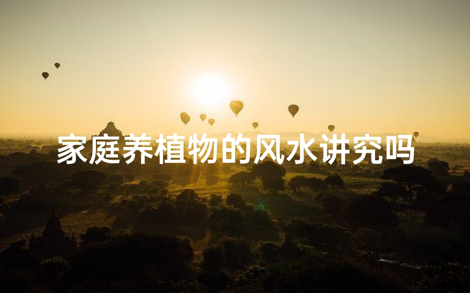 家庭养植物的风水讲究吗