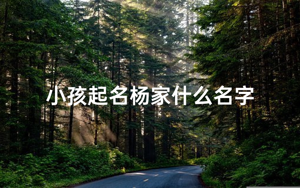 小孩起名杨家什么名字