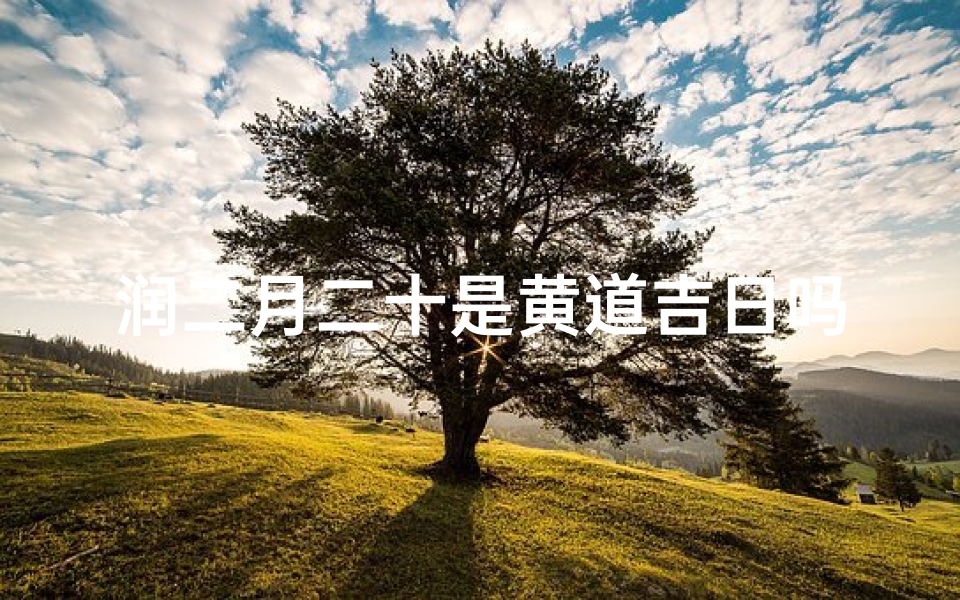 润二月二十是黄道吉日吗