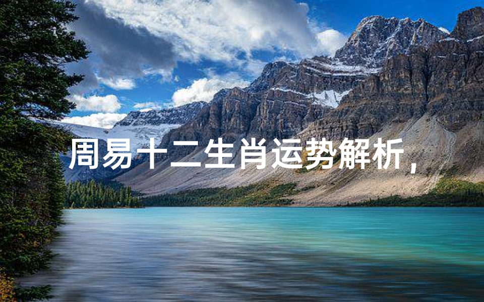 周易十二生肖运势解析,探秘命理与流年奥秘