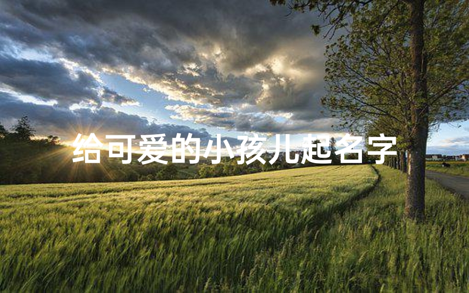 给可爱的小孩儿起名字