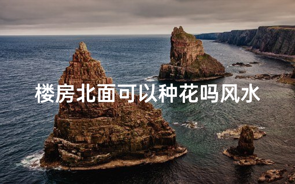 楼房北面可以种花吗风水好吗-楼房北面种花风水解析:适宜与否?