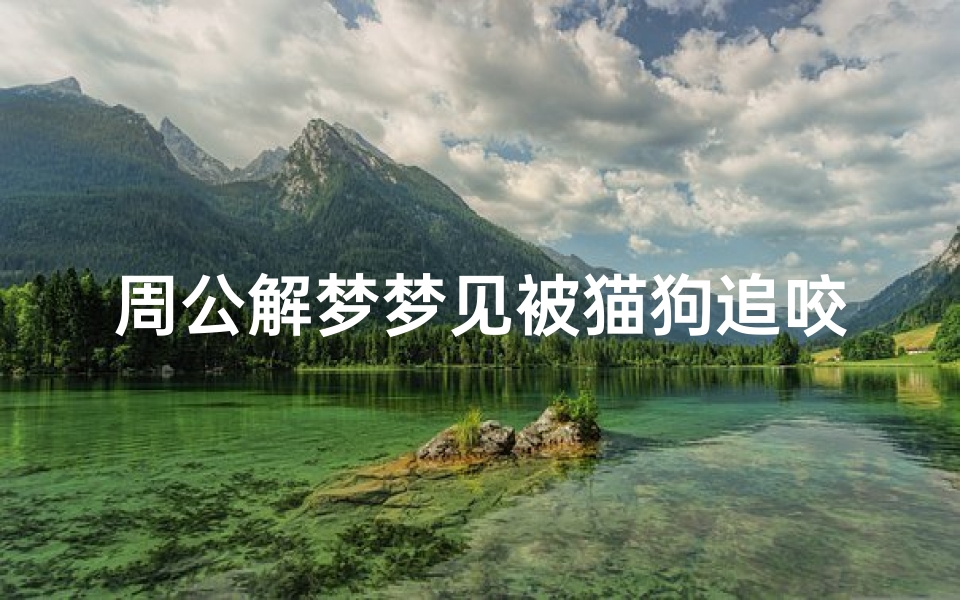 周公解梦梦见被猫狗追咬了(梦见被猫狗追)