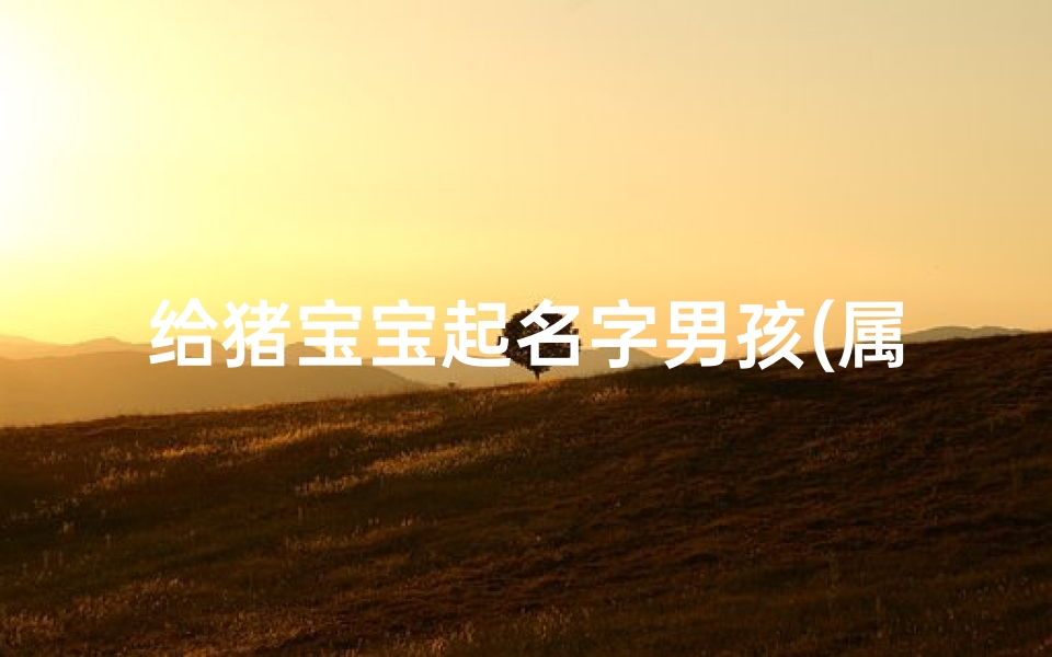 给猪宝宝起名字男孩(属猪男孩起名字)