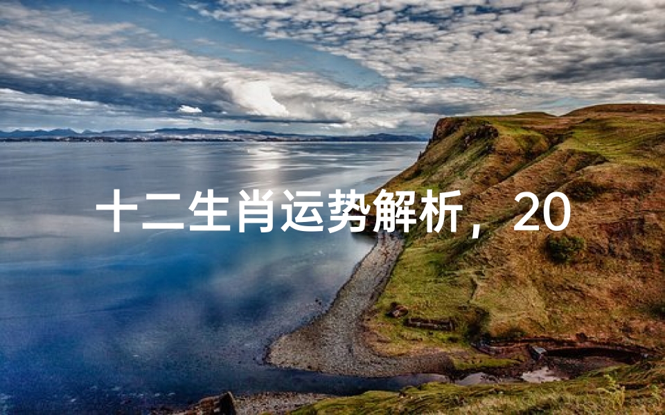 十二生肖运势解析,2024年运势走向及注意事项