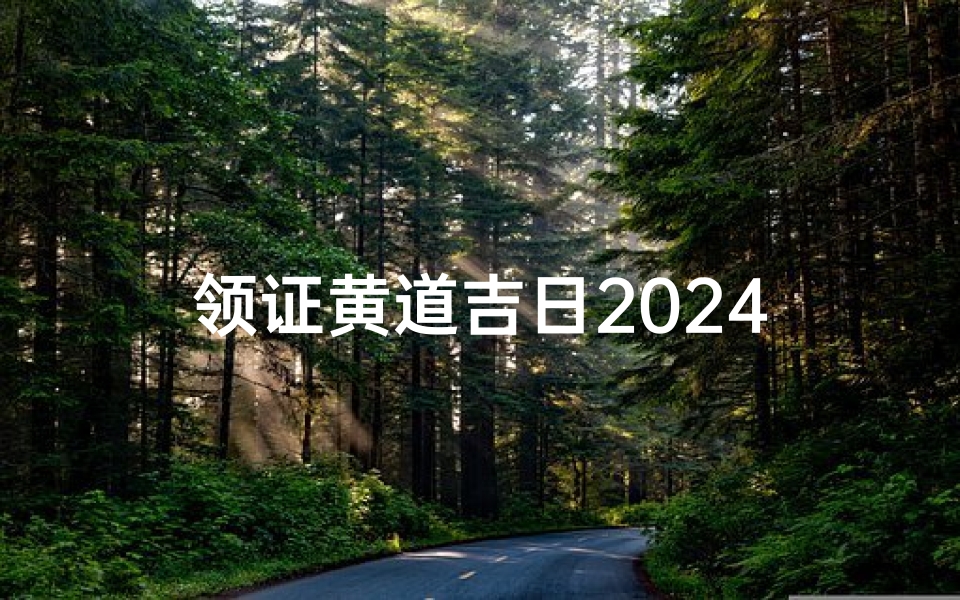 领证黄道吉日2024