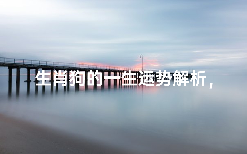 生肖狗的一生运势解析,属狗人性格特点与运势周期全透视