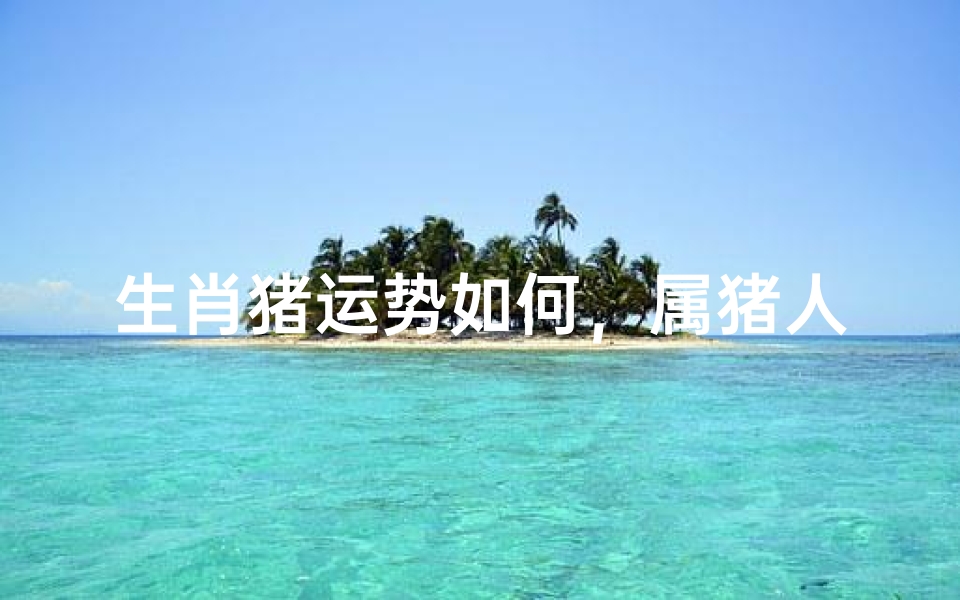 生肖猪运势如何,属猪人2024年事业财运与情感发展解析