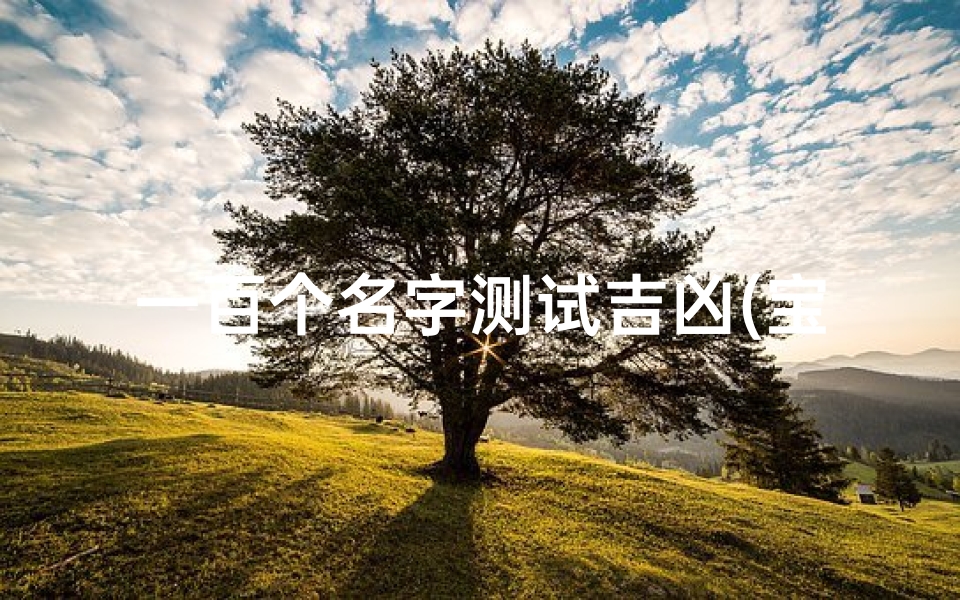 一百个名字测试吉凶(宝宝名字测试打分姓名测试打分100的名字)