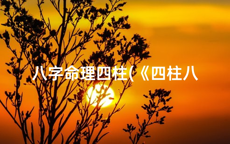 八字命理四柱(《四柱八字命理强弱速查:精准排序秘籍解析》)