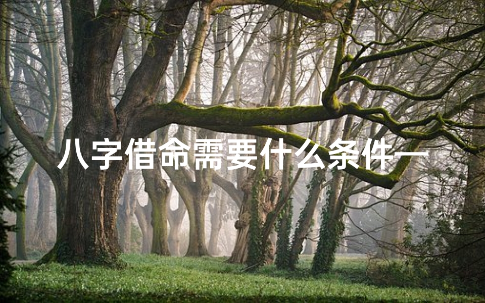 八字借命需要什么条件—《借命之谜:生辰八字背后的生死交易》