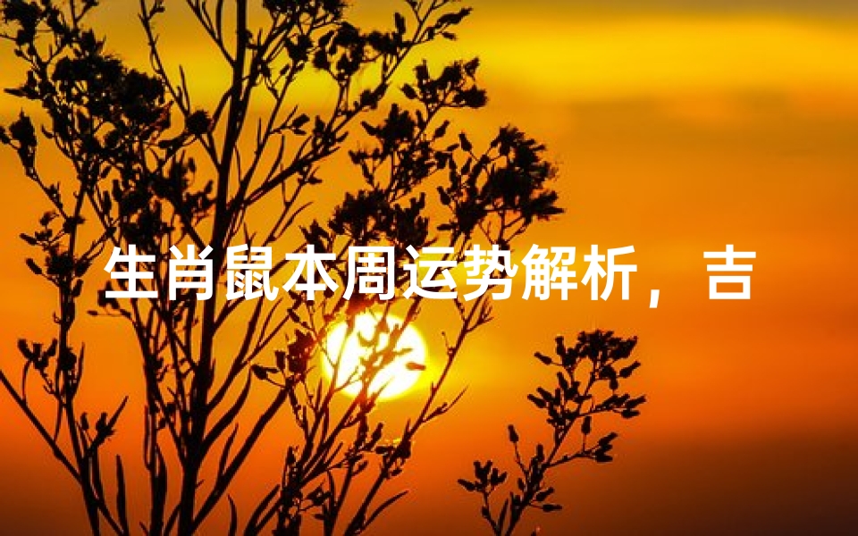 生肖鼠本周运势解析,吉凶方位与情感指南