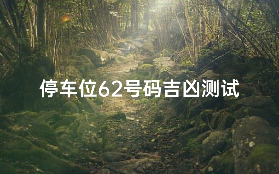 停车位62号码吉凶测试(买停车位多少号好)