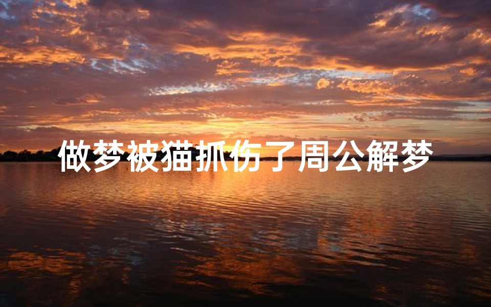 做梦被猫抓伤了周公解梦(梦见猫抓伤的预兆)