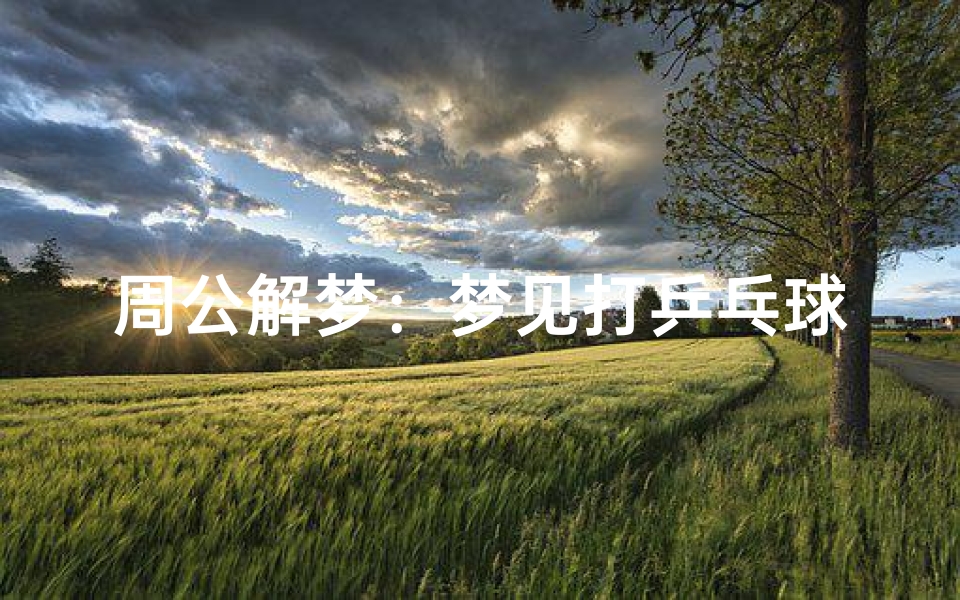 周公解梦：梦见打乒乓球的深层解析与现实启示
