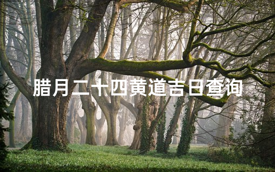 腊月二十四黄道吉日查询(十二月二十四号是黄道吉日吗)