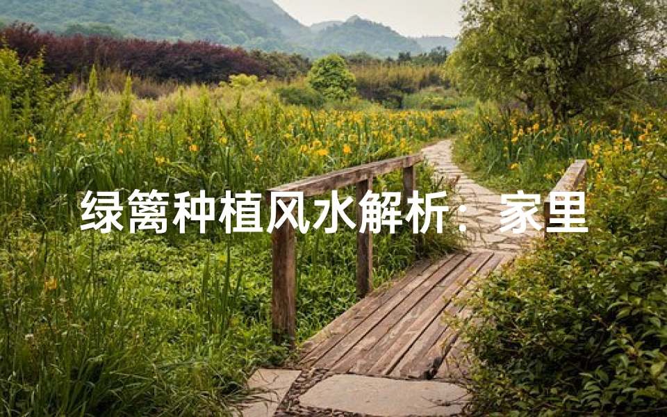 绿篱种植风水解析:家里能种吗?
