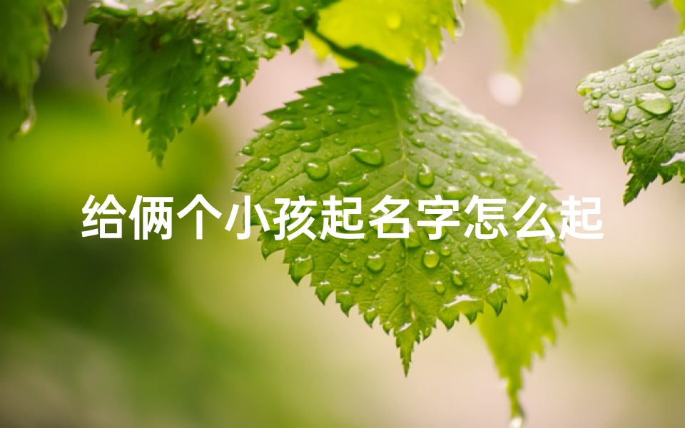 给俩个小孩起名字怎么起