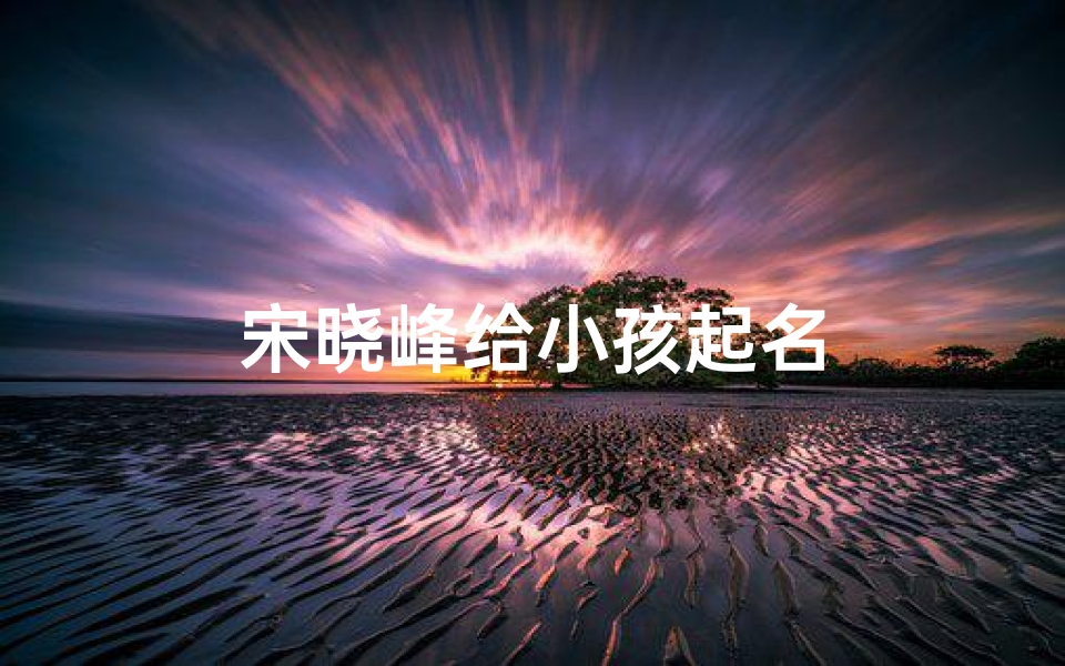 宋晓峰给小孩起名