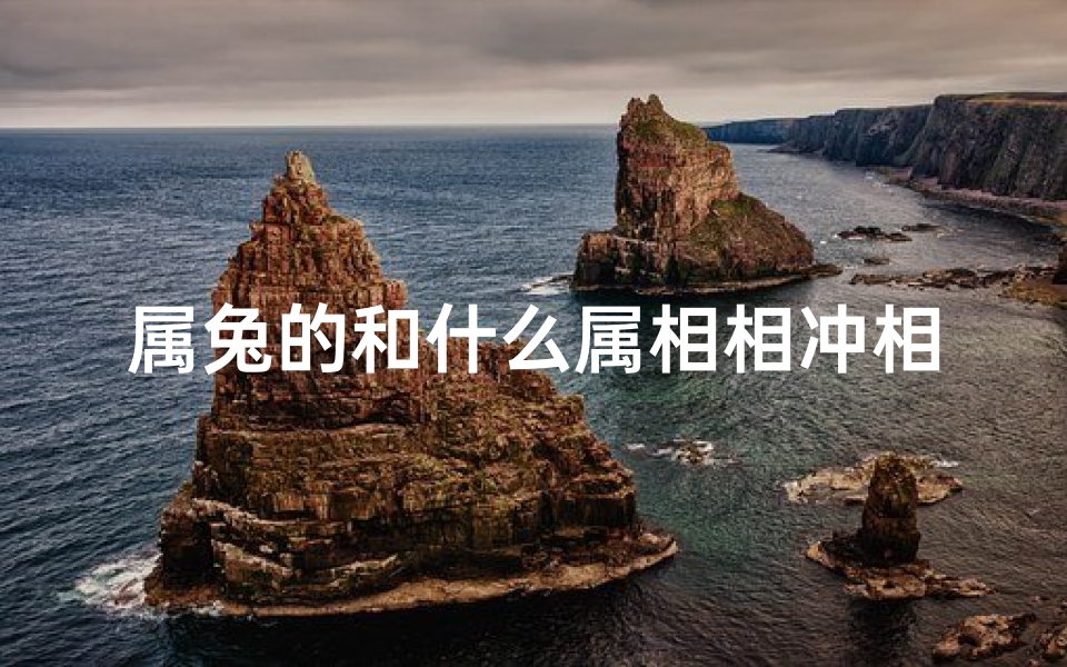 属兔的和什么属相相冲相合(2024属兔的和什么属相最配相克)