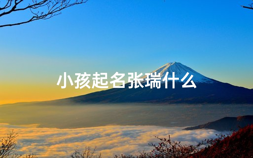 小孩起名张瑞什么