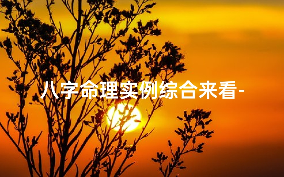 八字命理实例综合来看-八字命理实例解析:命运轨迹的深度解读-海瑞算卦网