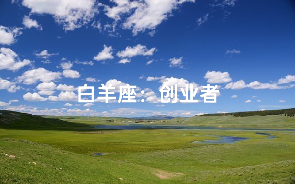 白羊座:创业者