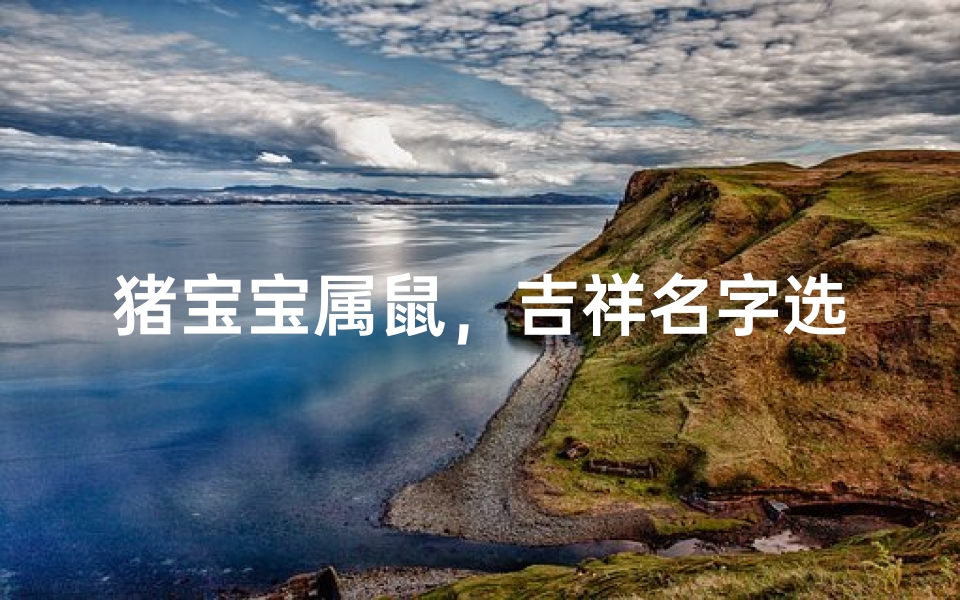 猪宝宝属鼠,吉祥名字选择指南-为宝宝命名策略分析