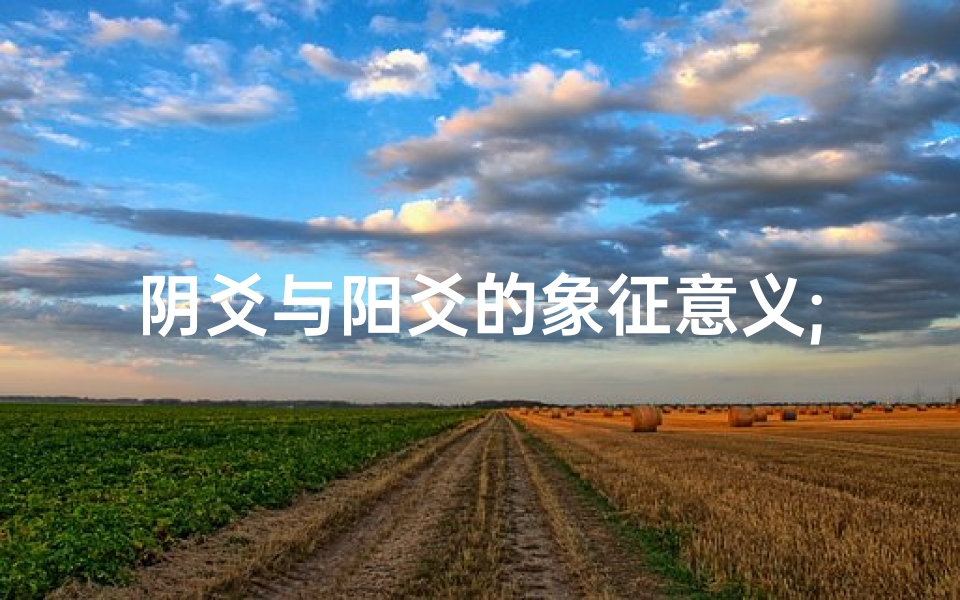 阴爻与阳爻的象征意义;《阴阳爻象解吉凶:探寻命运之谜》