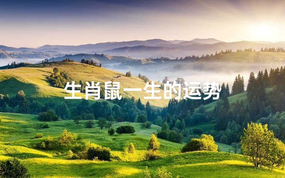 生肖鼠一生的运势