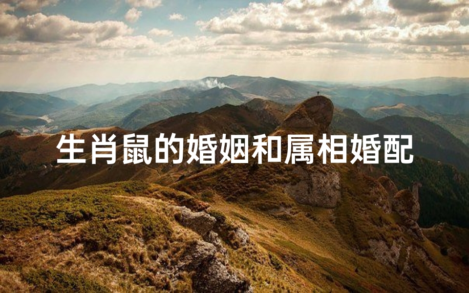 生肖鼠的婚姻和属相婚配