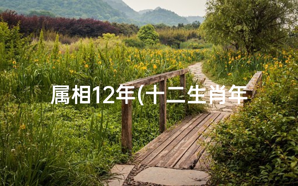 属相12年(十二生肖年份)