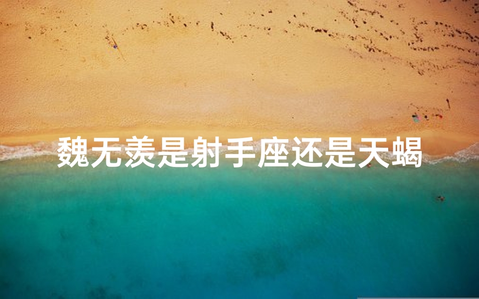 魏无羡是射手座还是天蝎座-《魏无羡:射手座灵魂的狂放之旅》