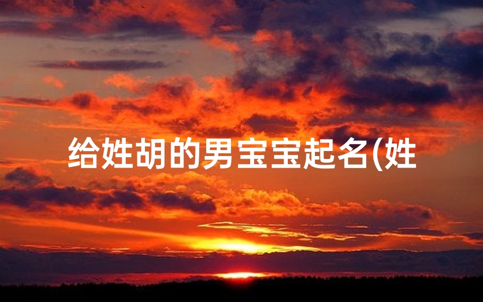 给姓胡的男宝宝起名(姓胡大气的男宝宝名字)