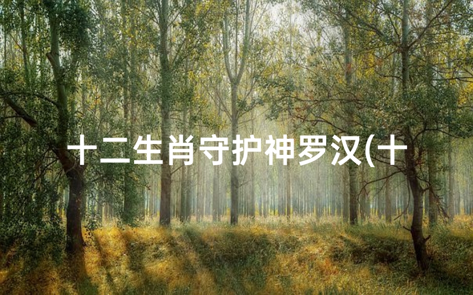 十二生肖守护神罗汉(十二生肖图片大全12张,十二生肖守护神的图片)